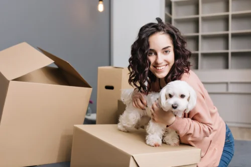 Umzug mit Haustieren in Berlin: Was Sie bei Transport und Anmeldung beachten müssen