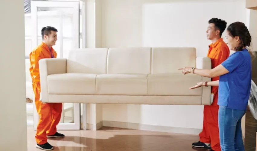 Furniture Storage